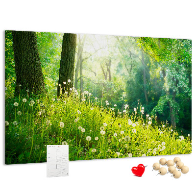 Tableau de liège Forêt verte avec des pissenlits en fleurs