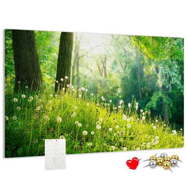 Tableau de liège Forêt verte avec des pissenlits en fleurs
