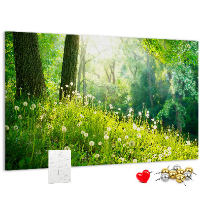 Tableau de liège Forêt verte avec des pissenlits en fleurs
