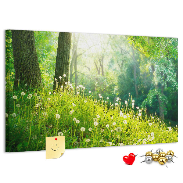 Tableau de liège Forêt verte avec des pissenlits en fleurs