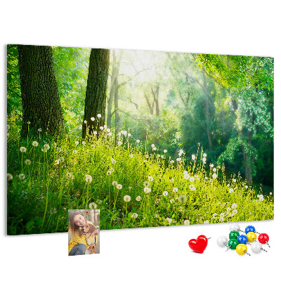 Tableau de liège Forêt verte avec des pissenlits en fleurs