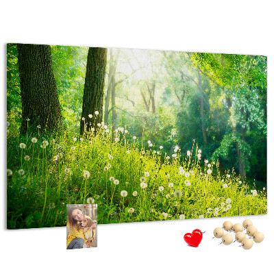 Tableau de liège Forêt verte avec des pissenlits en fleurs