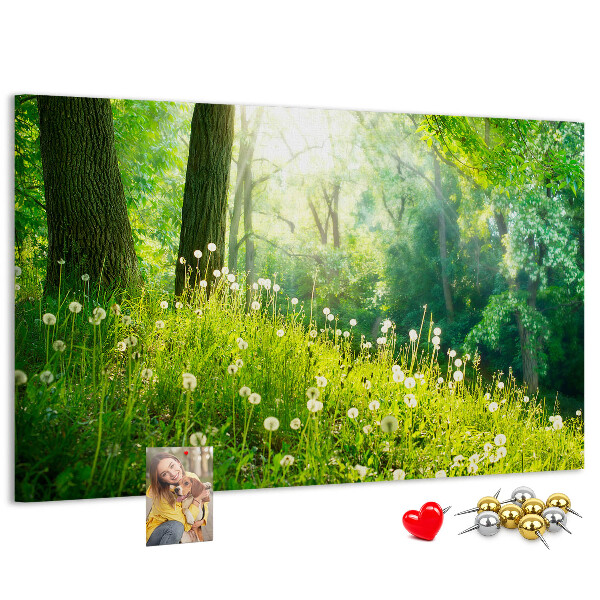 Tableau de liège Forêt verte avec des pissenlits en fleurs