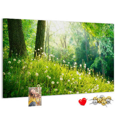 Tableau de liège Forêt verte avec des pissenlits en fleurs