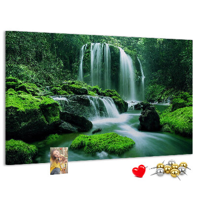 Tableau en liège Une cascade verdoyante dans une jungle luxuriante