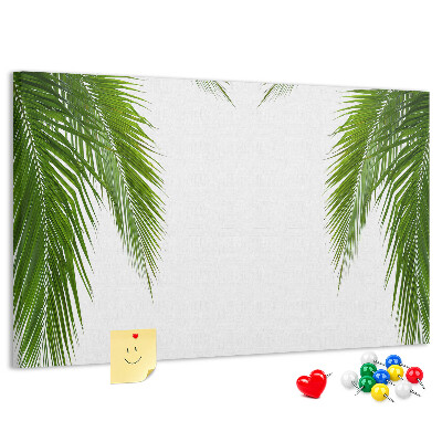 Tableau en liège Feuilles de palmier sur fond blanc