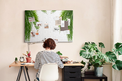 Tableau en liège Feuilles de palmier sur fond blanc