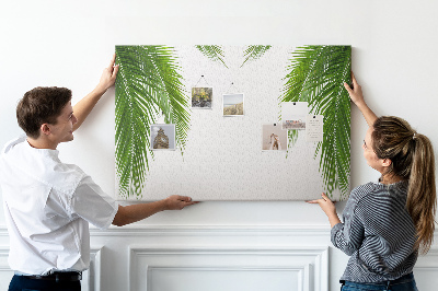 Tableau en liège Feuilles de palmier sur fond blanc