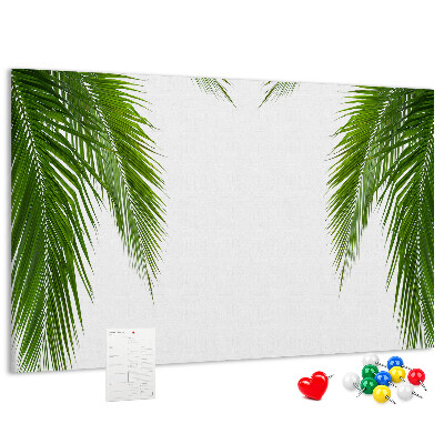 Tableau en liège Feuilles de palmier sur fond blanc