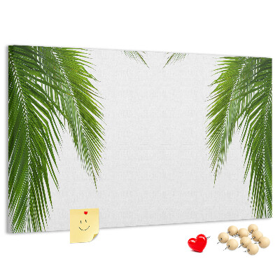 Tableau en liège Feuilles de palmier sur fond blanc