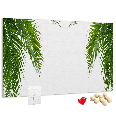 Tableau en liège Feuilles de palmier sur fond blanc