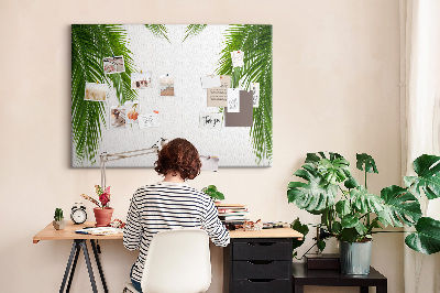 Tableau en liège Feuilles de palmier sur fond blanc