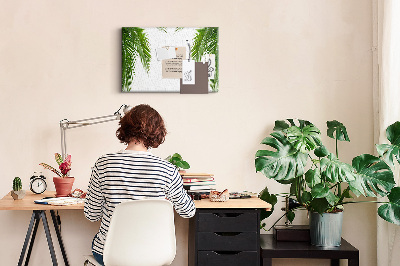 Tableau en liège Feuilles de palmier sur fond blanc
