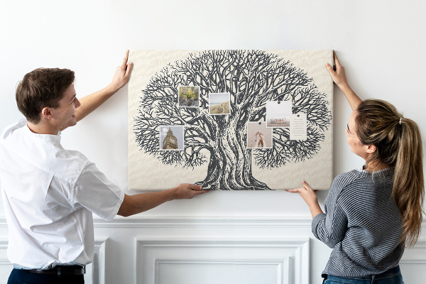 Tableau affichage liège Branches d'arbres entrelacées en noir.