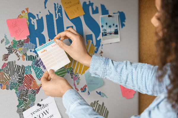 Tableau affichage liège Carte du monde avec les noms des pays.