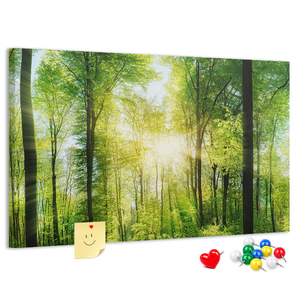 Tableau affichage liège Forêt verte baignée de soleil