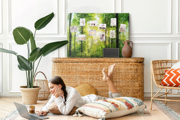 Tableau affichage liège Forêt verte baignée de soleil