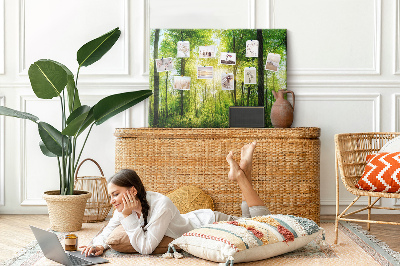 Tableau affichage liège Forêt verte baignée de soleil