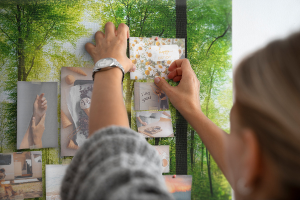 Tableau affichage liège Forêt verte baignée de soleil