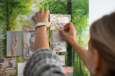 Tableau affichage liège Forêt verte baignée de soleil