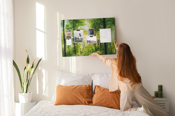 Tableau affichage liège Forêt verte baignée de soleil