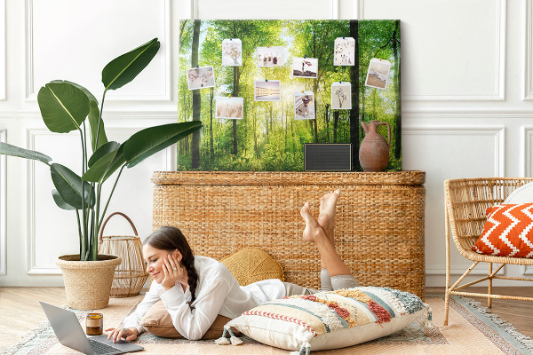 Tableau affichage liège Forêt verte baignée de soleil