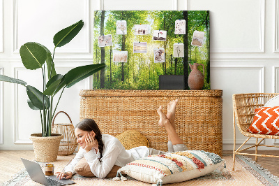 Tableau affichage liège Forêt verte baignée de soleil