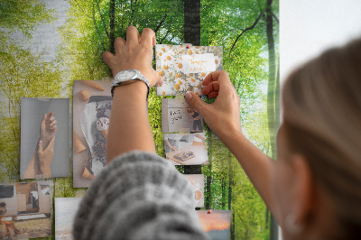 Tableau affichage liège Forêt verte baignée de soleil