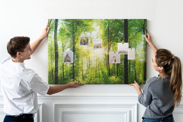 Tableau affichage liège Forêt verte baignée de soleil