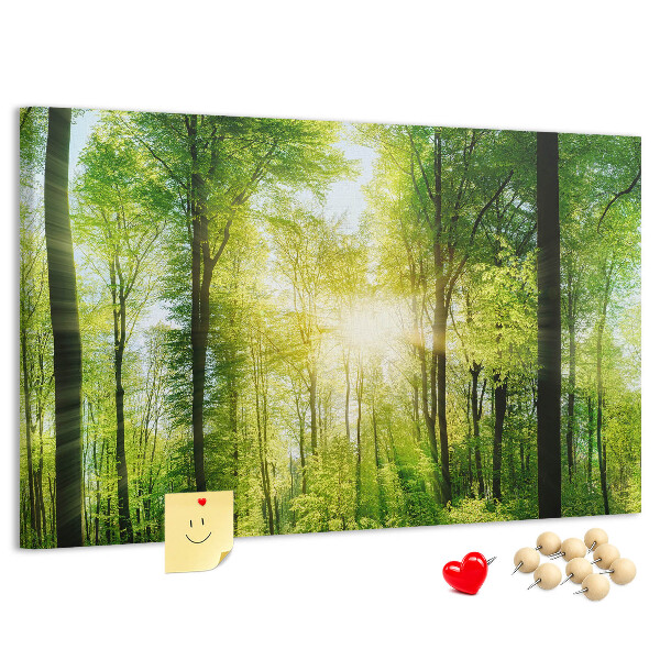 Tableau affichage liège Forêt verte baignée de soleil