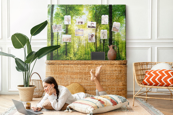 Tableau affichage liège Forêt verte baignée de soleil