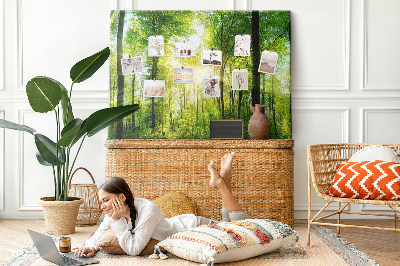 Tableau affichage liège Forêt verte baignée de soleil