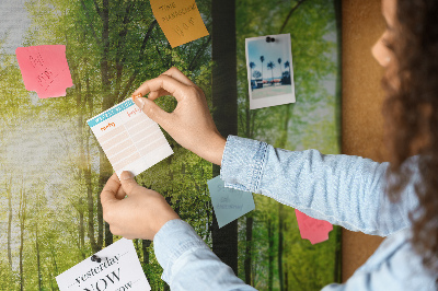 Tableau affichage liège Forêt verte baignée de soleil