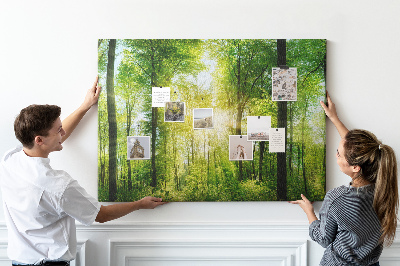 Tableau affichage liège Forêt verte baignée de soleil