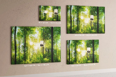 Tableau affichage liège Forêt verte baignée de soleil