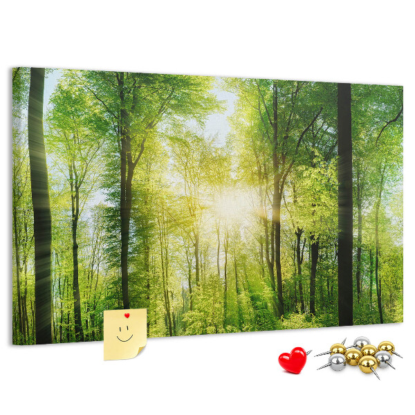 Tableau affichage liège Forêt verte baignée de soleil