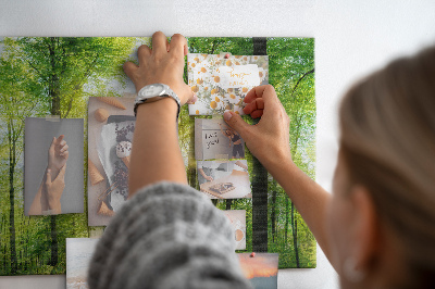 Tableau affichage liège Forêt verte baignée de soleil