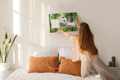 Tableau affichage liège Forêt verte baignée de soleil