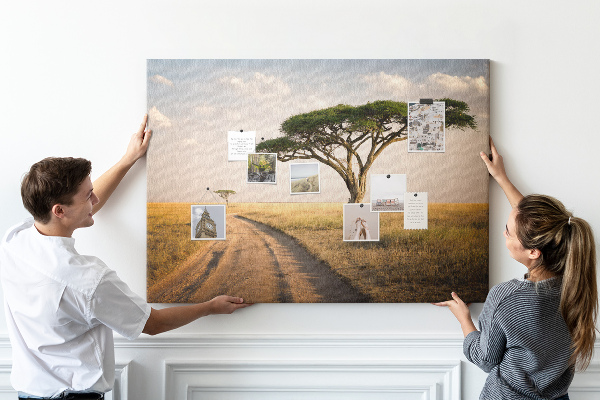 Tableau en liège Une route traversant un paysage africain avec un arbre