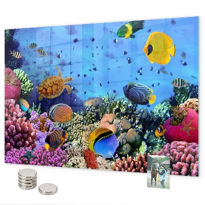 Tableau magnétique La vie sous-marine