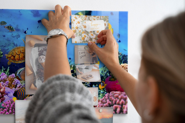 Tableau magnétique La vie sous-marine