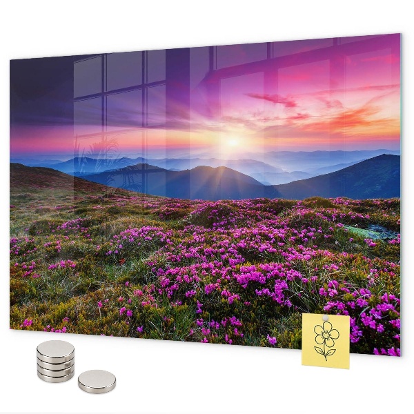 Tableau magnétique Fleurs du lever du soleil