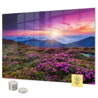 Tableau magnétique Fleurs du lever du soleil