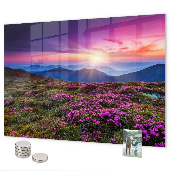 Tableau magnétique Fleurs du lever du soleil