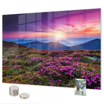 Tableau magnétique Fleurs du lever du soleil