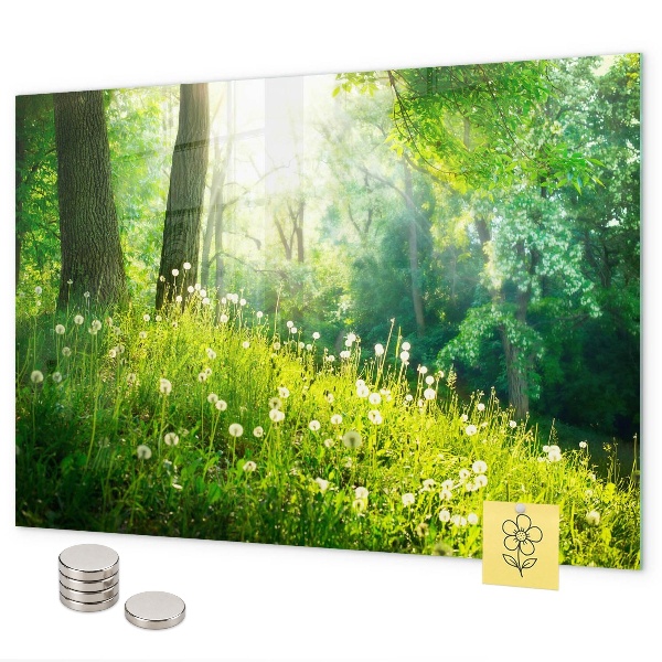 Tableau magnétique mural nature printanière