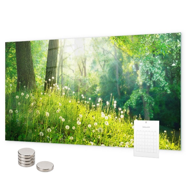 Tableau magnétique mural nature printanière
