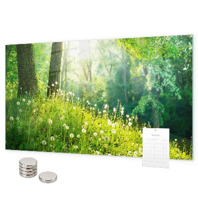 Tableau magnétique mural nature printanière
