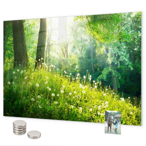 Tableau magnétique mural nature printanière