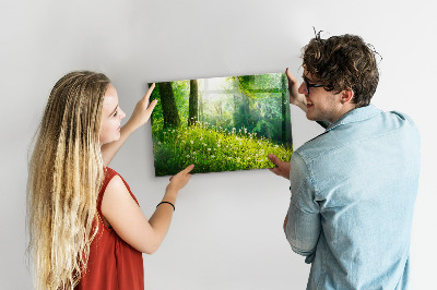Tableau magnétique mural nature printanière